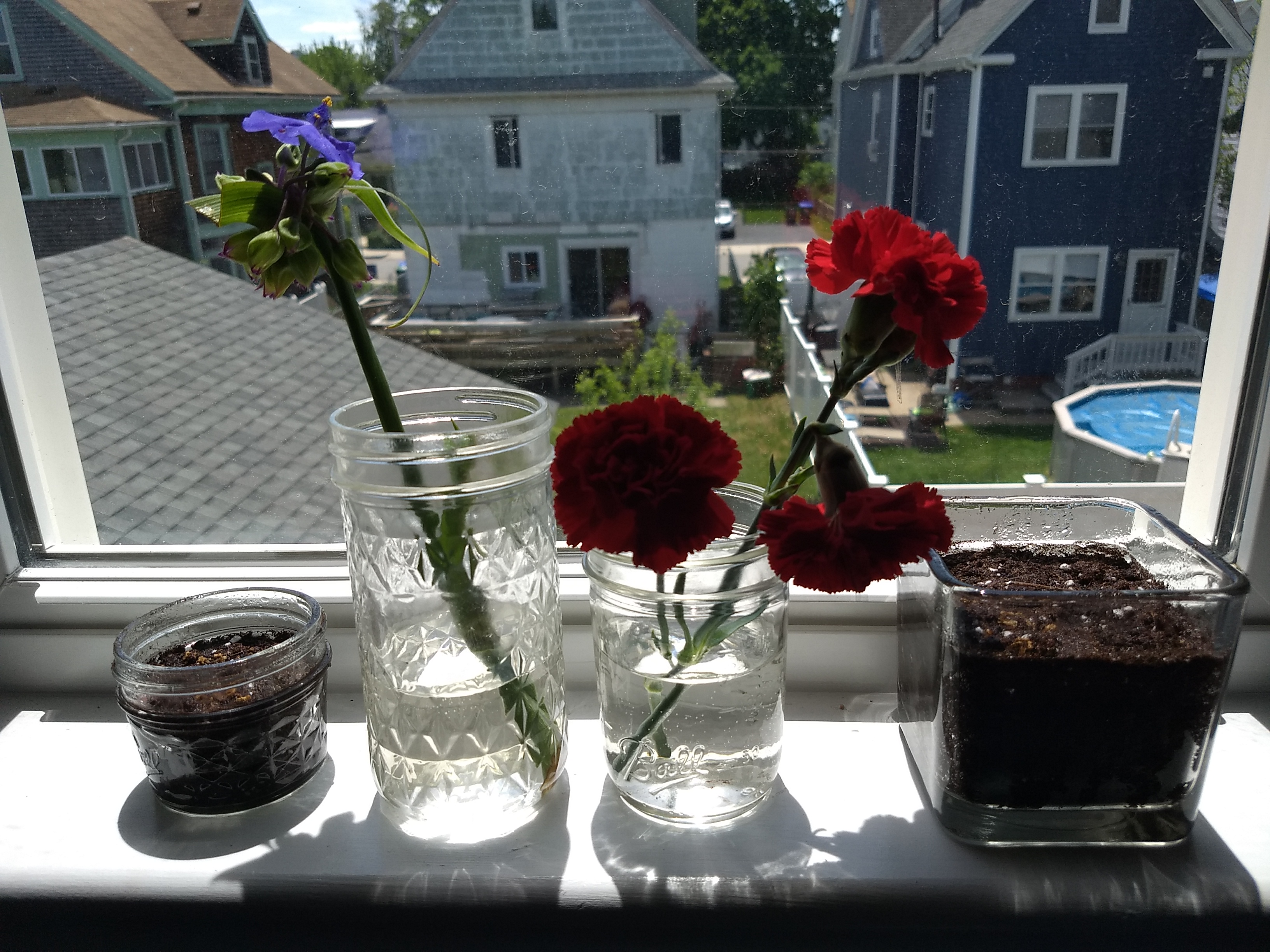 IMG_20200530_125532871