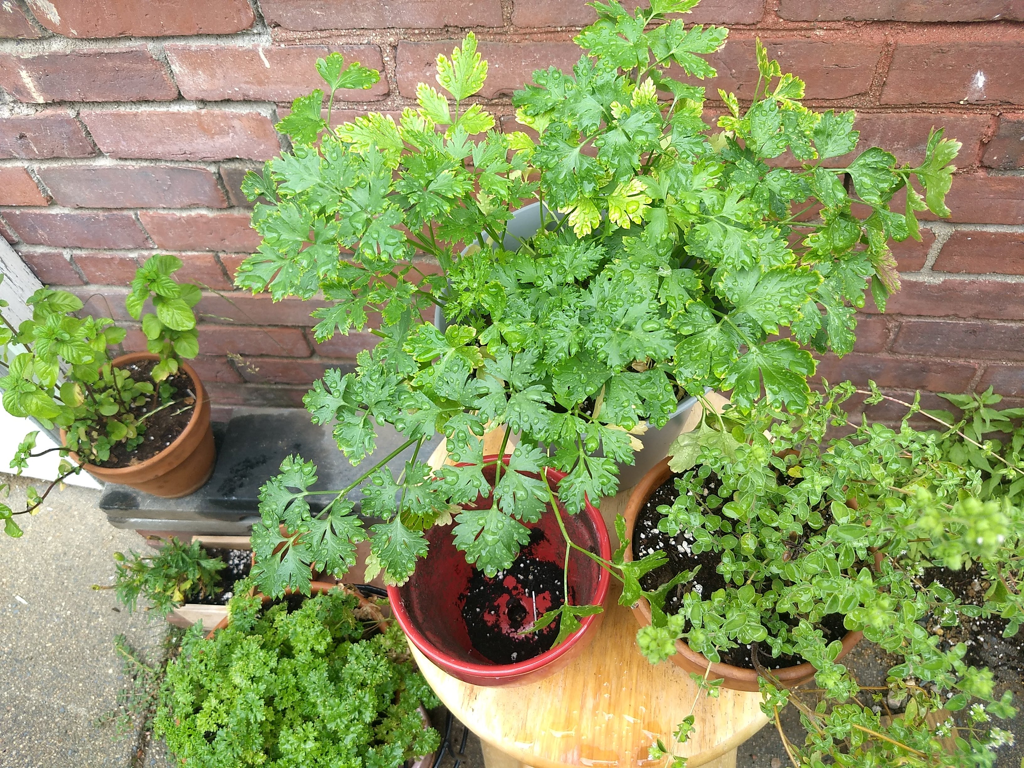 IMG_20200701_093058656