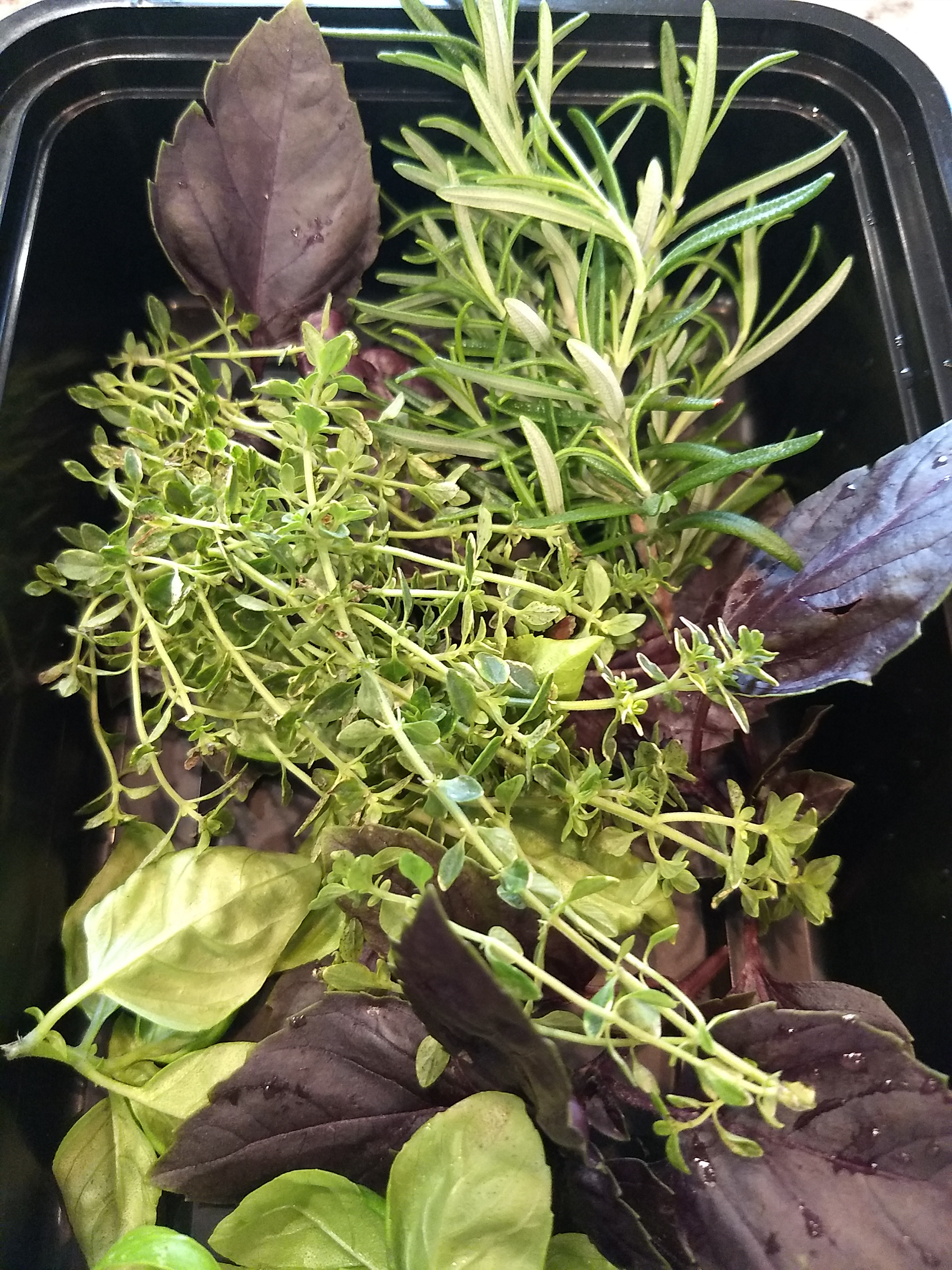 IMG_20200702_191935150