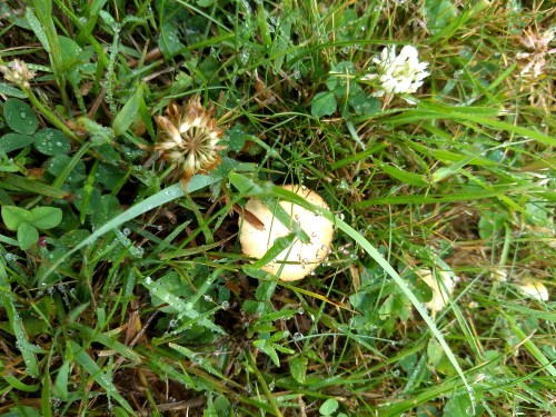 IMG_20200705_095636188