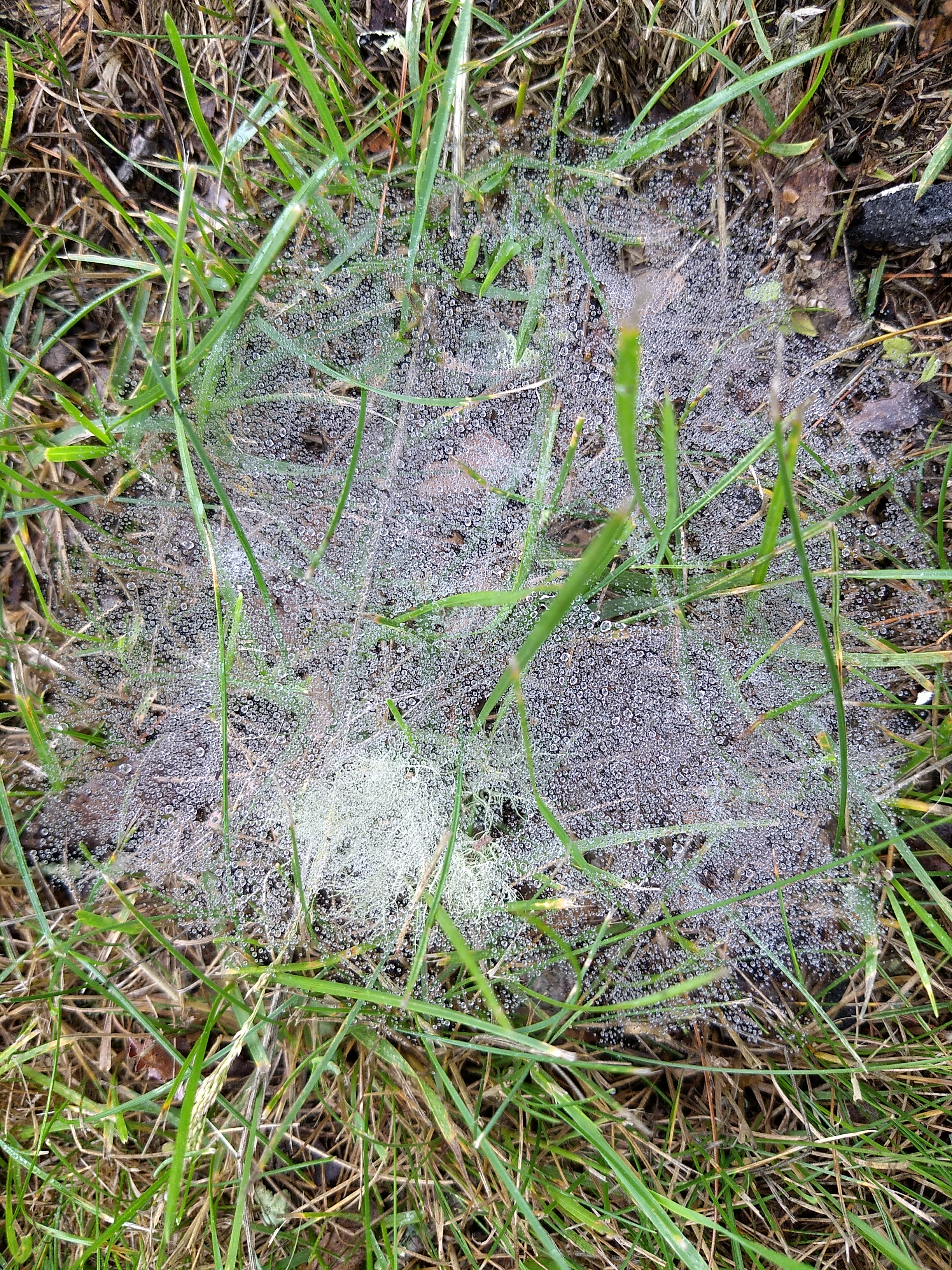 IMG_20200705_140856624